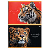 фото Альбом для рисования 32л., А4, на гребне BG "Art animals"